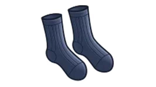 Fresh Socks [random]